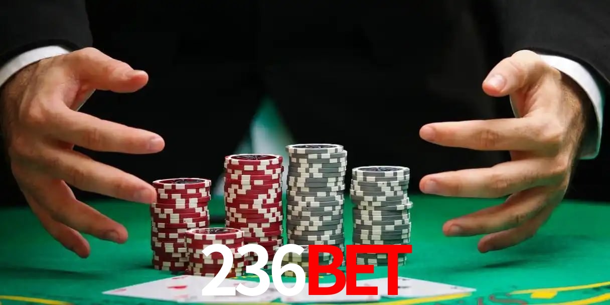 236BET Belo Horizonte - Basketball
