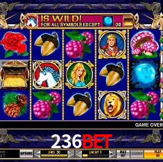 236BET Rio de Janeiro - Bonus Terms