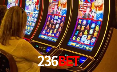 236BET Curitiba - Live Status
