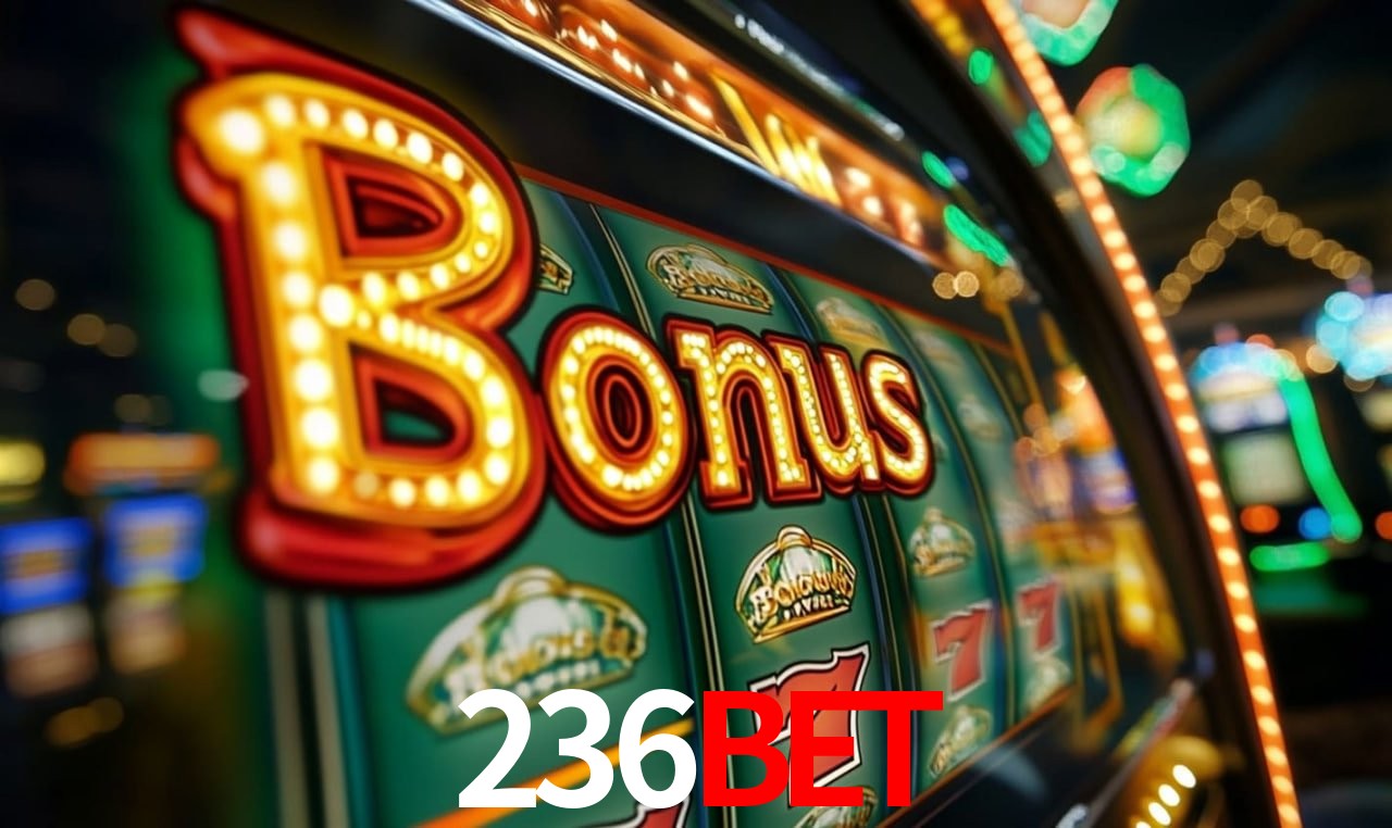 236BET Salvador - Promo Stats
