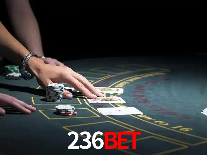 236BET Curitiba - Statistics